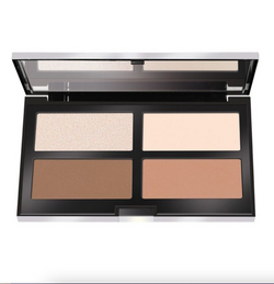 Contouring & Strobing Palette